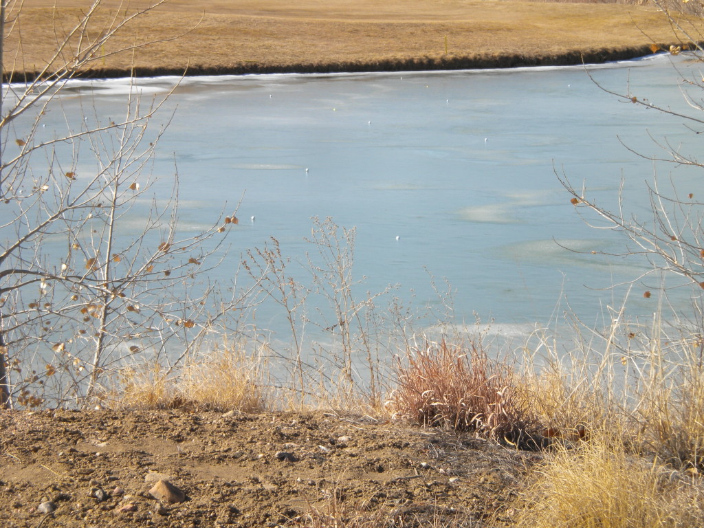 Golf balls on the frozen lake