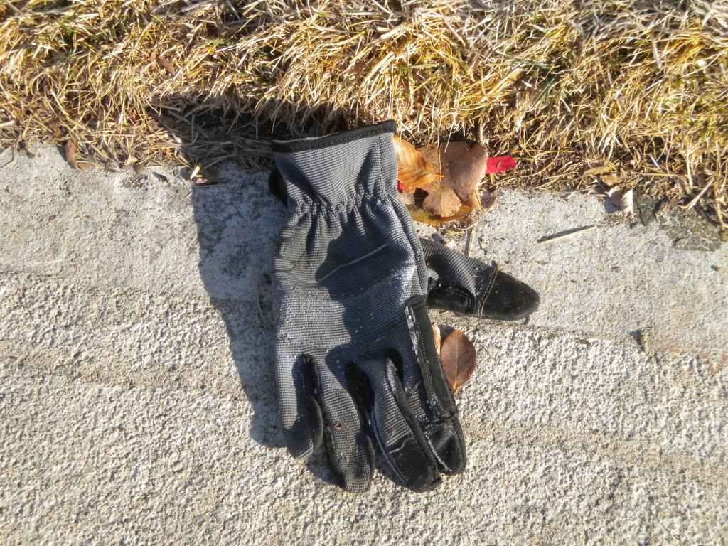 somebody missing a glove?