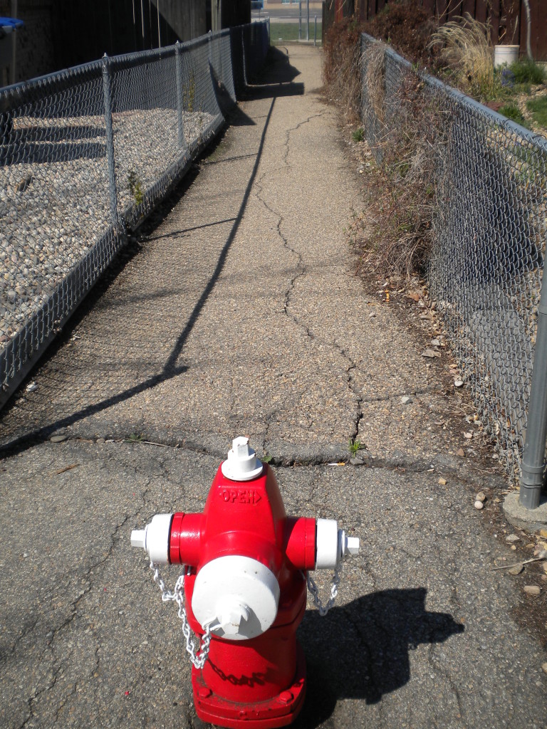 A strange place for a fire hydrant 