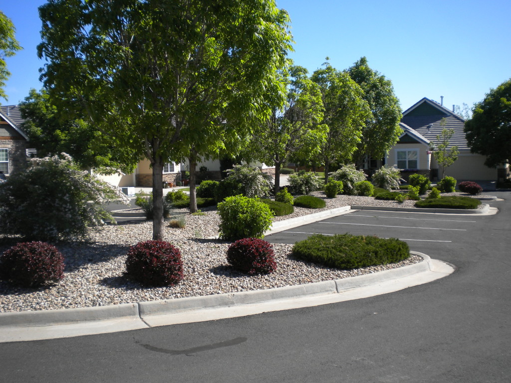Parking and landscaping