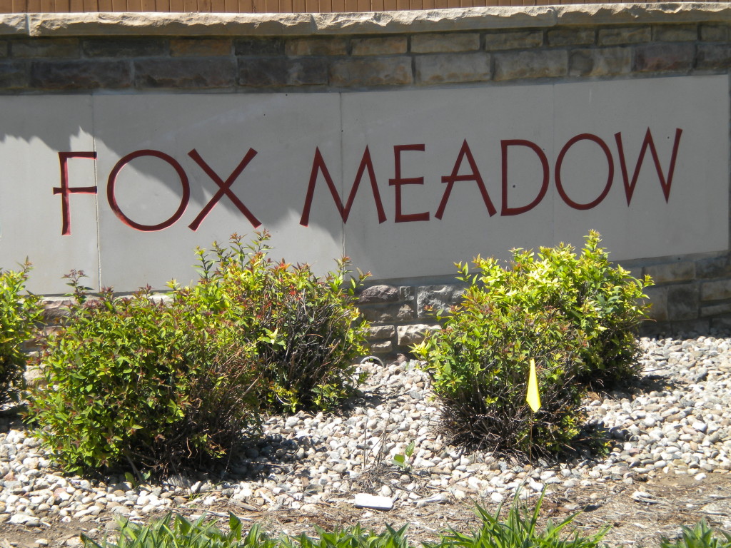 Fox Meadow