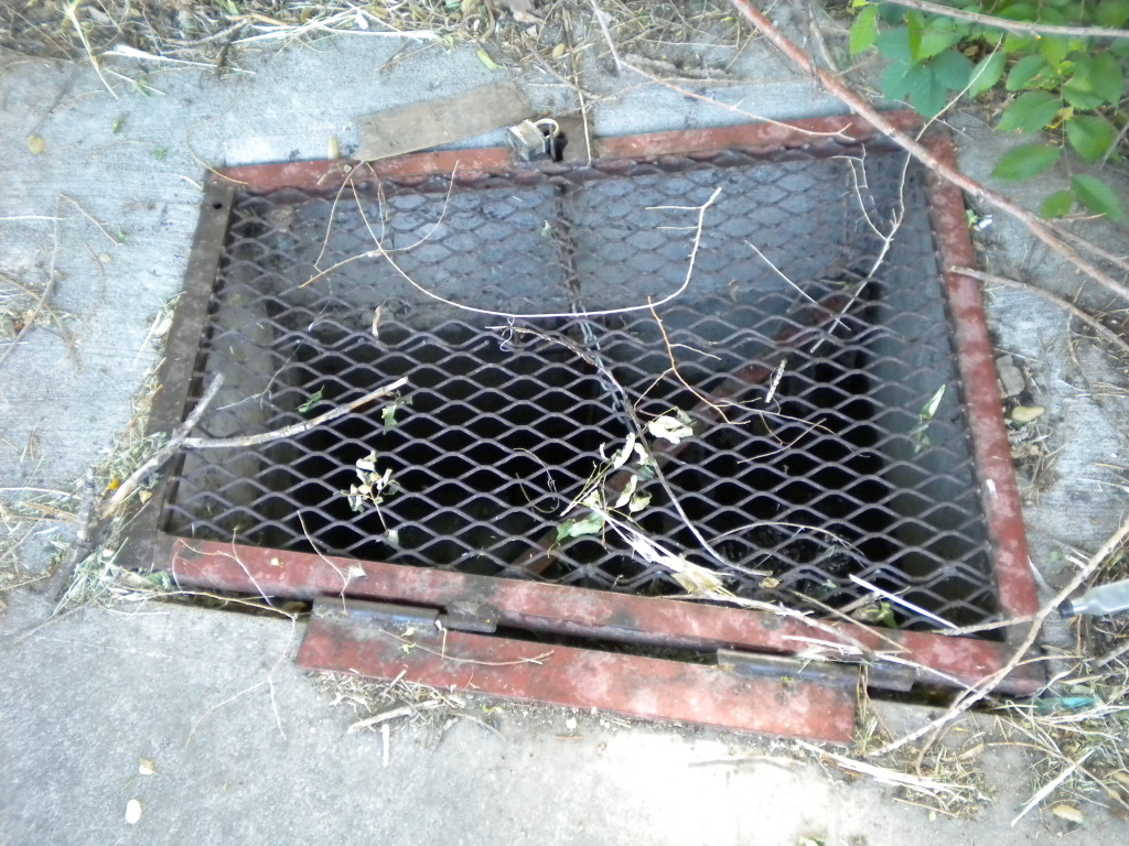 Trapezoidal grate... don't think I've seen one shaped like this before