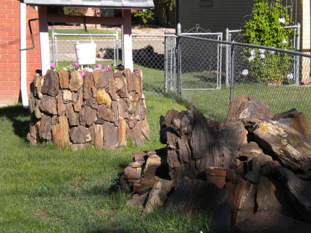 Back-yard petrified wood?