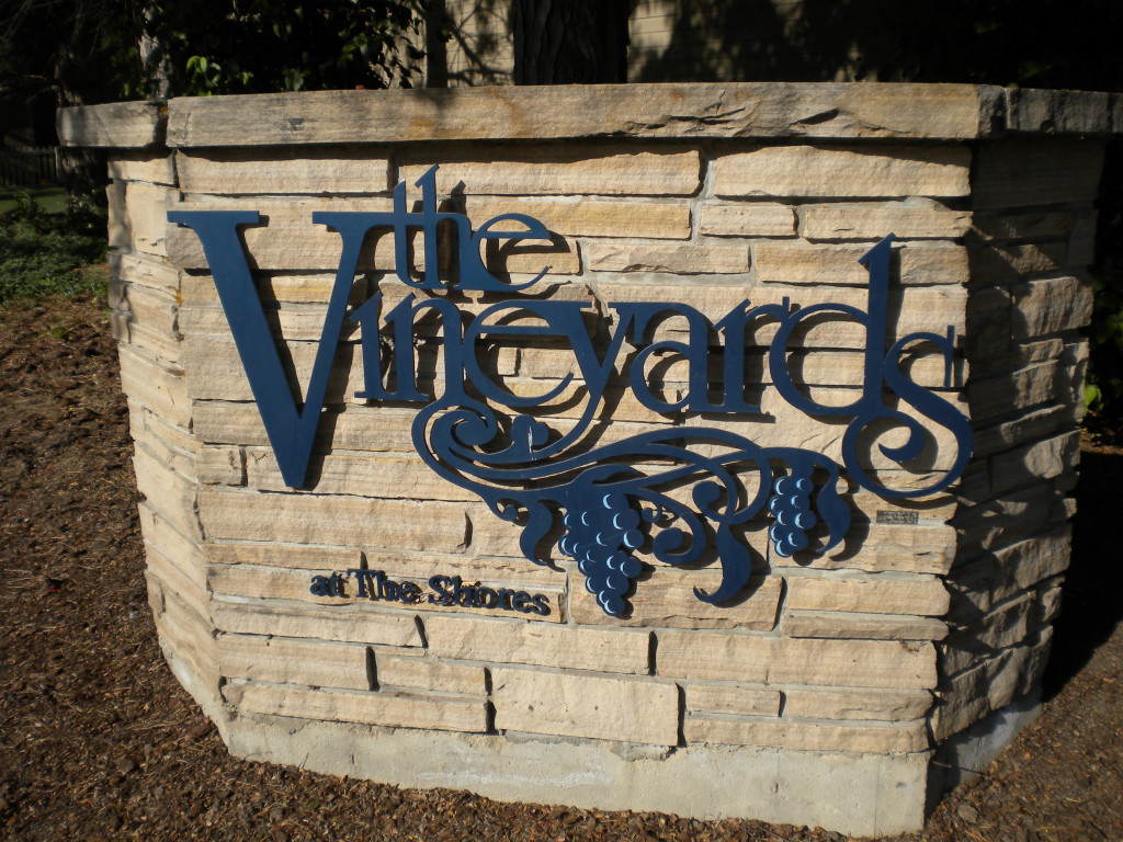 The Vineyards 
