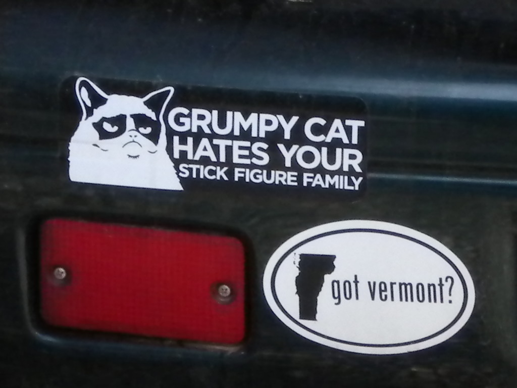 I like stick figure families.. but I also like Grumpy Cat