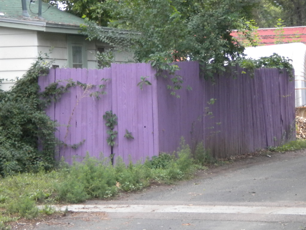 Purple Fence