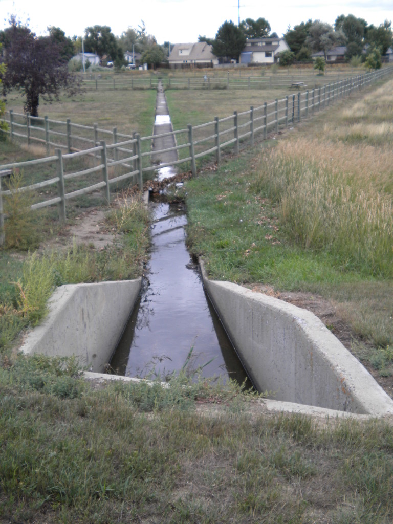 drainage ditch by the dog park