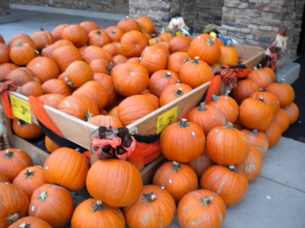 pumpkins in front of Safeway