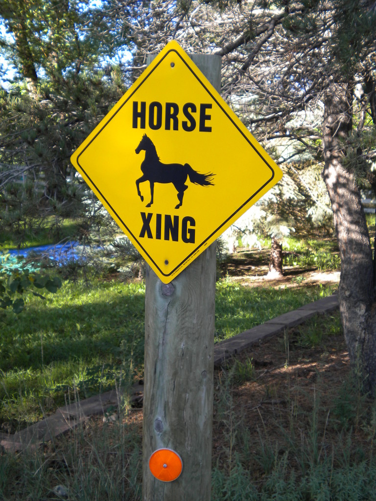 horse crossing