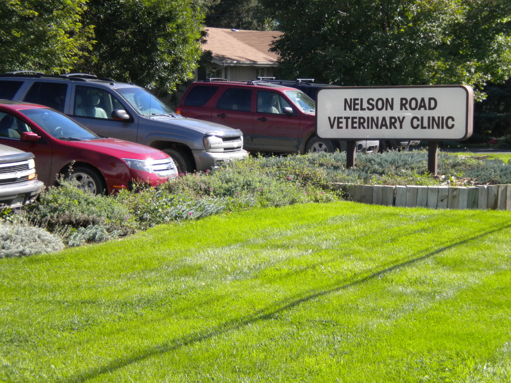 Nelson Rd. Veterinary Clinic