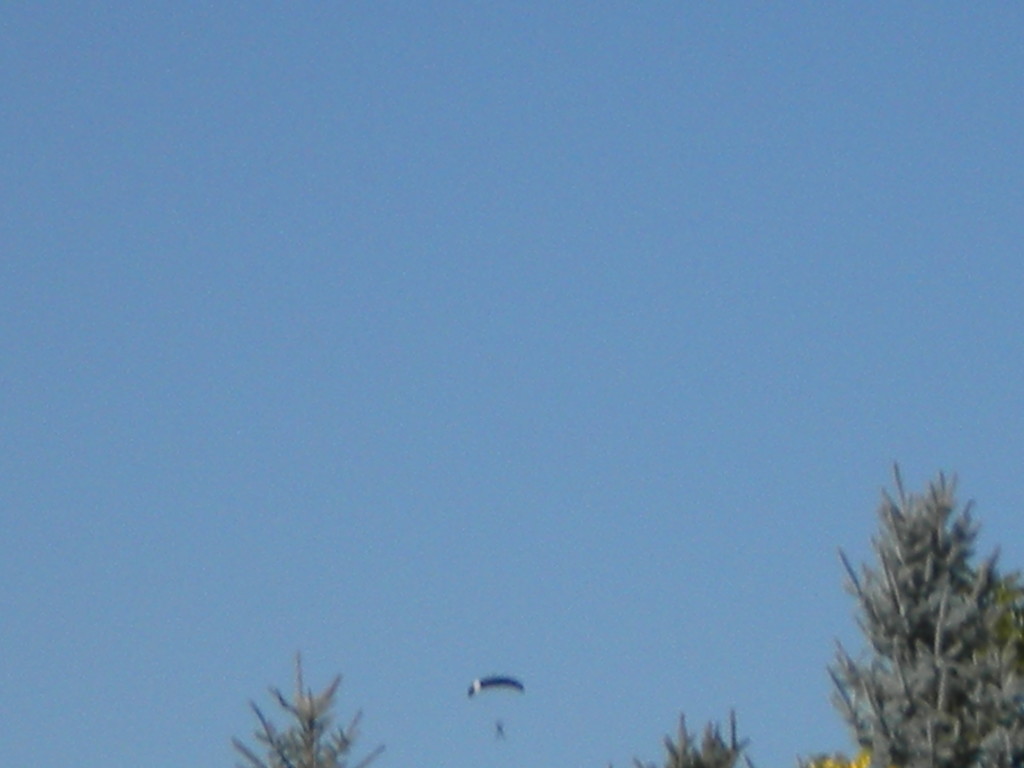 para-glider about to land