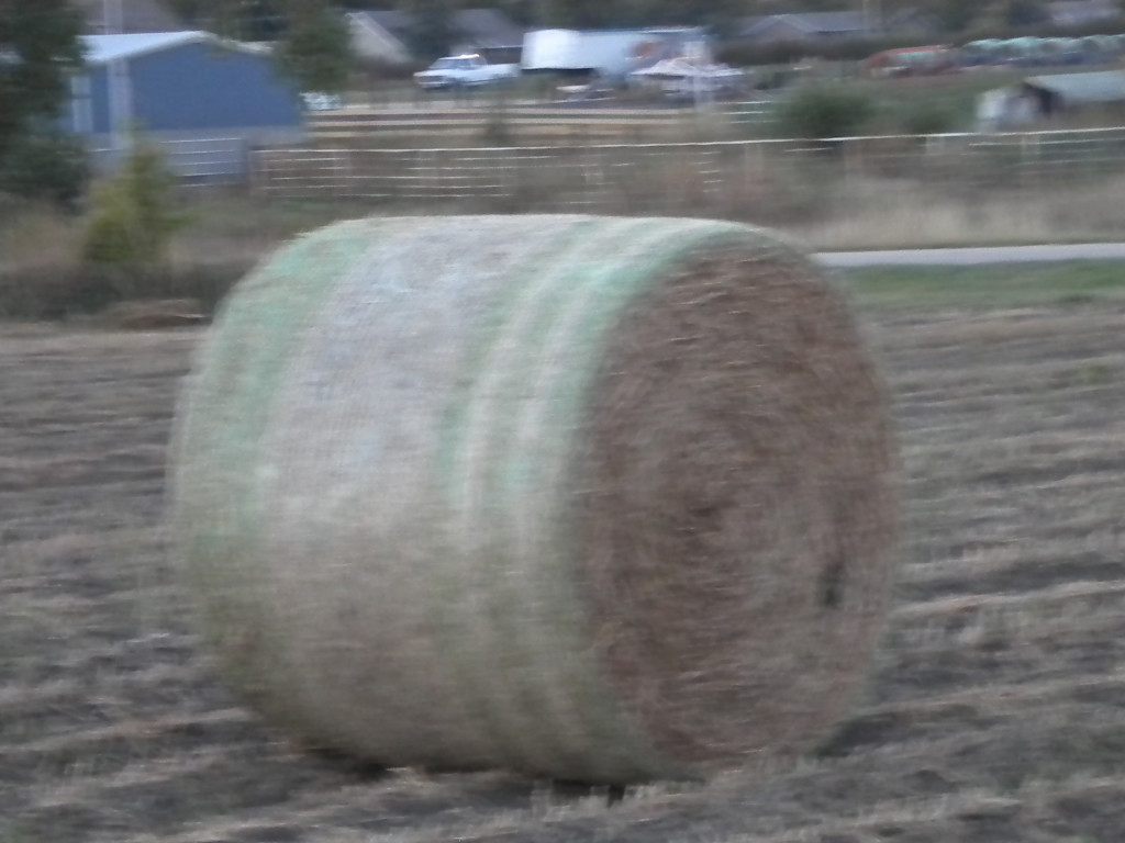 round bale