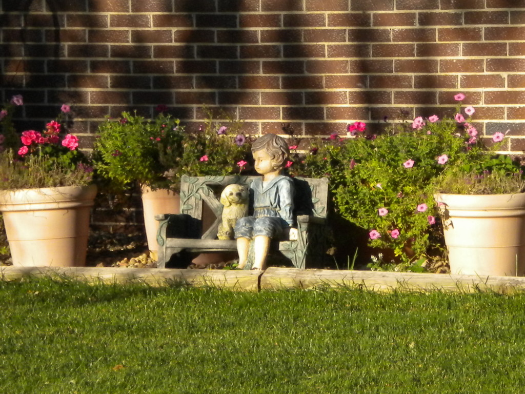 a boy and his dog