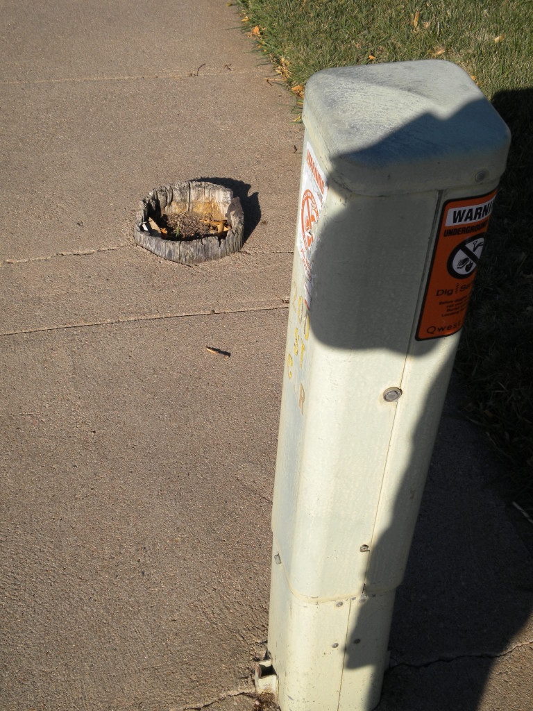 utility post and TREE STUMP in sidewalk!