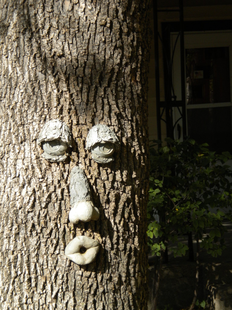 tree man