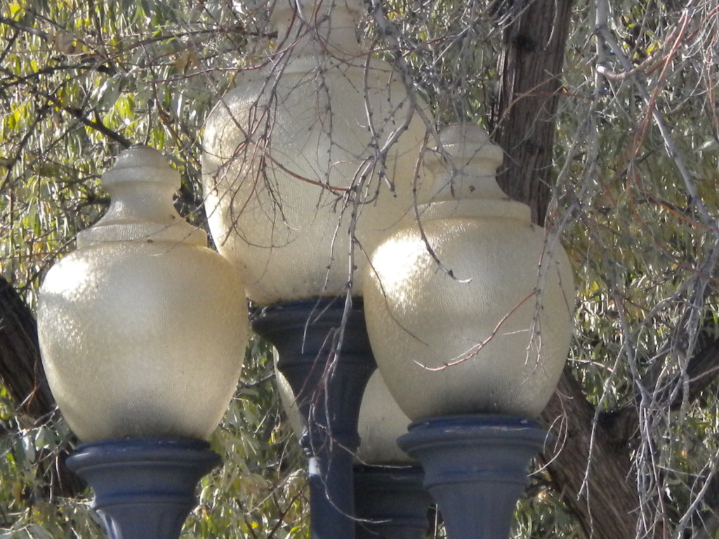 lamp post cluster
