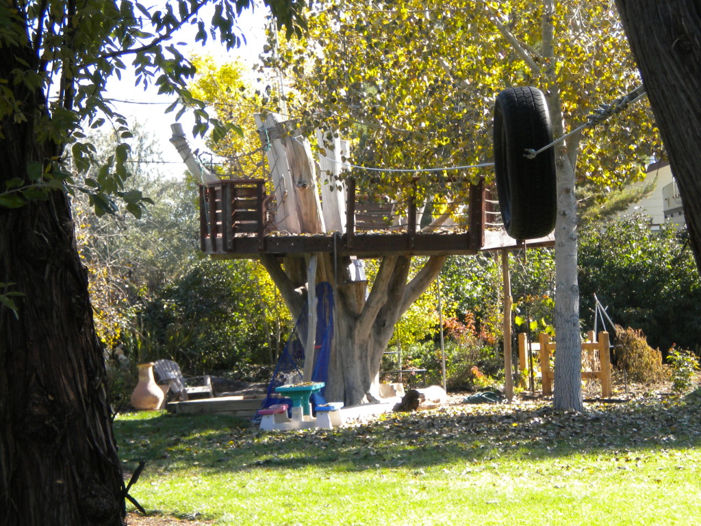 awesome tree house with zip line