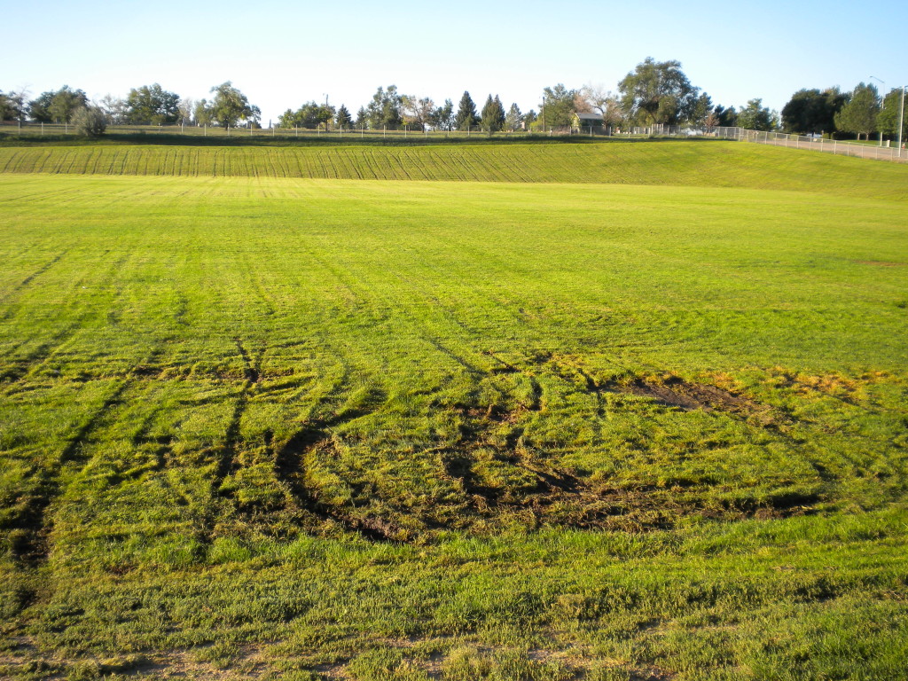 Soccer field shows effects of rains
