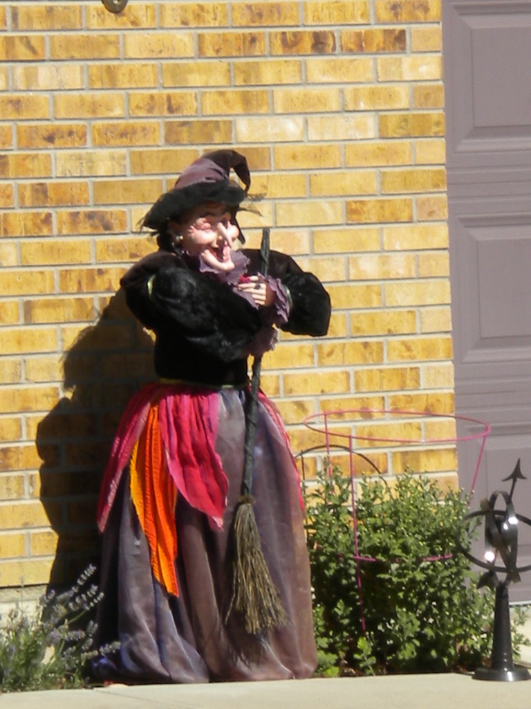 close-up of witch