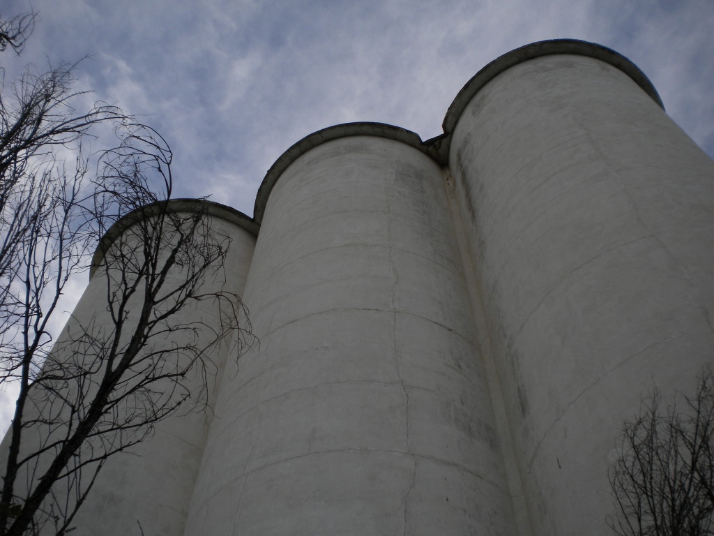 View of silos from the west side