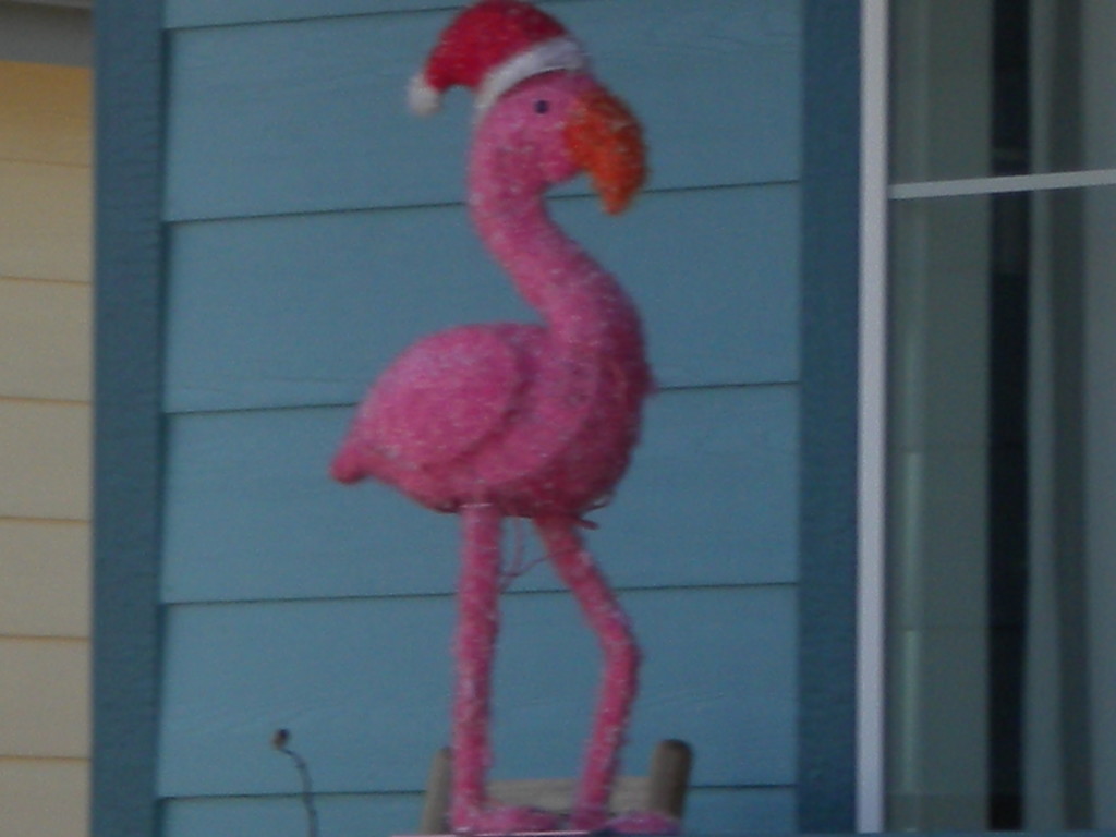 festive flamingo