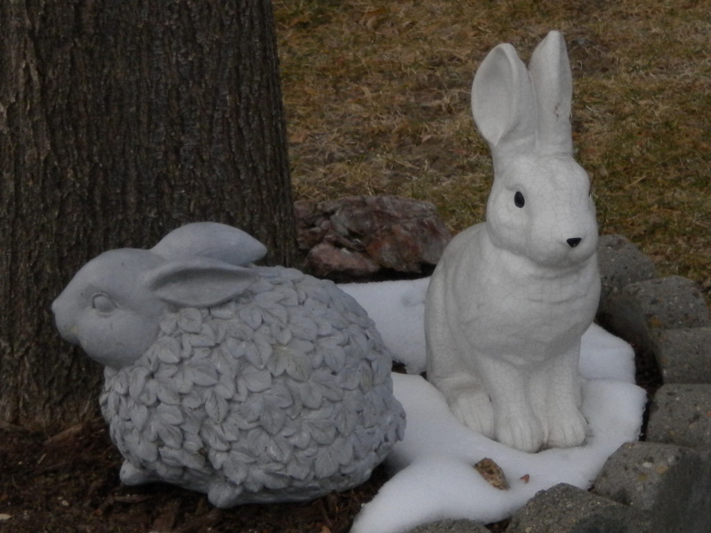 two rabbits --- one with weird -leaf-fur?