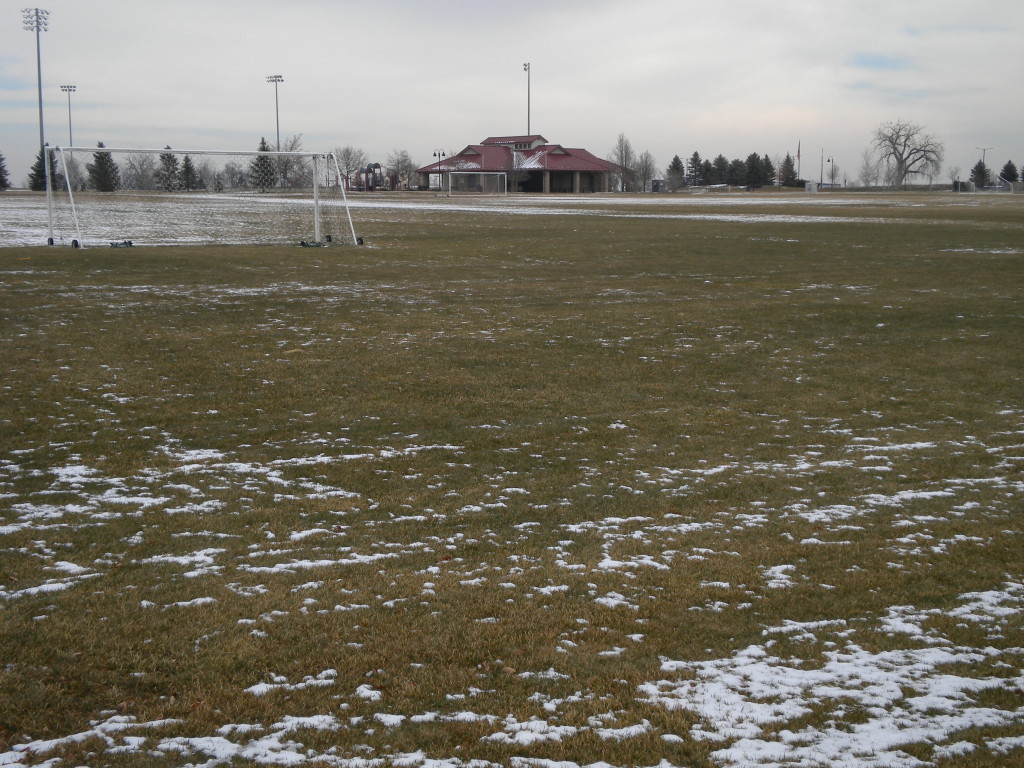 soccer fields