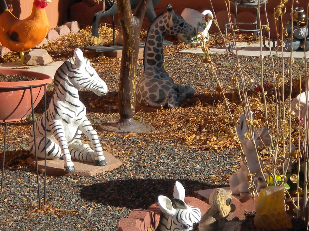 2 zebras (look closely!) plus giraffe