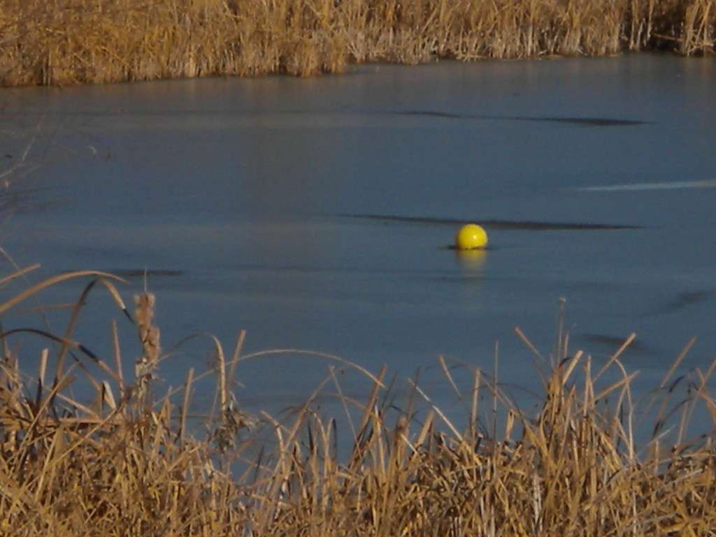 Thin Ice -- do not attempt to rescue this ball..