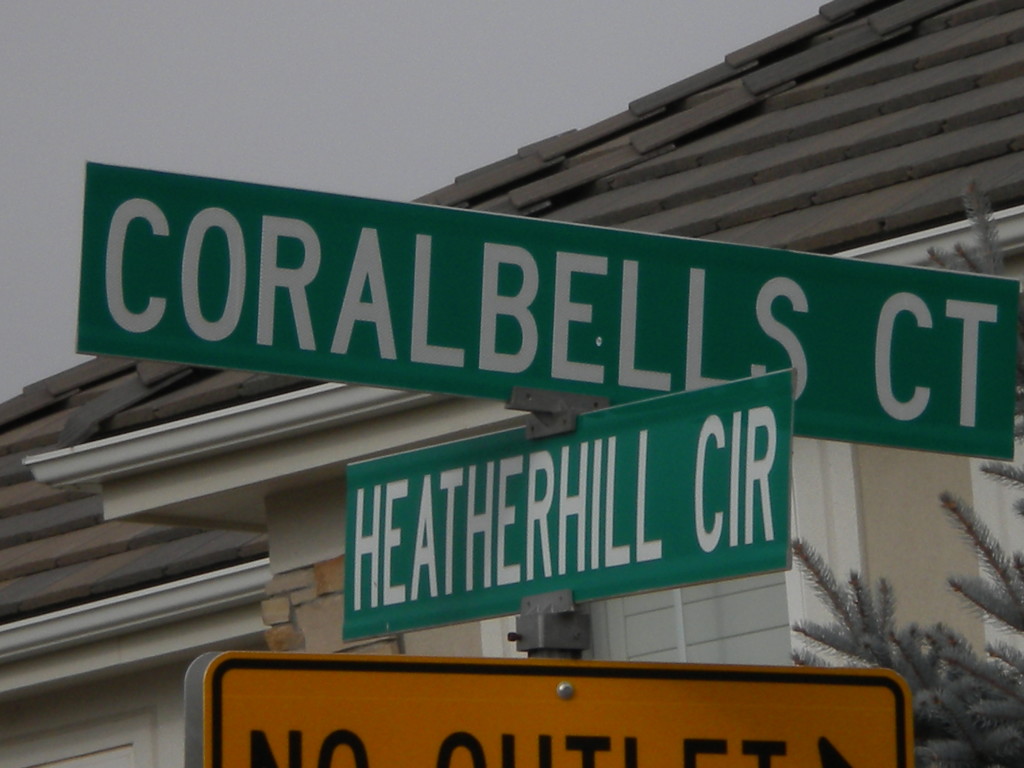 Coralbells is one of my favorite street names