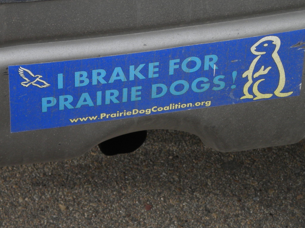 I Brake for Prairie Dogs